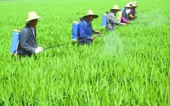 太陽能殺蟲燈哪家好？不能只圖價格便宜，否則得不償失
