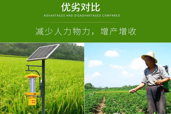 太陽能殺蟲燈多少畝一臺，節能環保的殺蟲燈應用