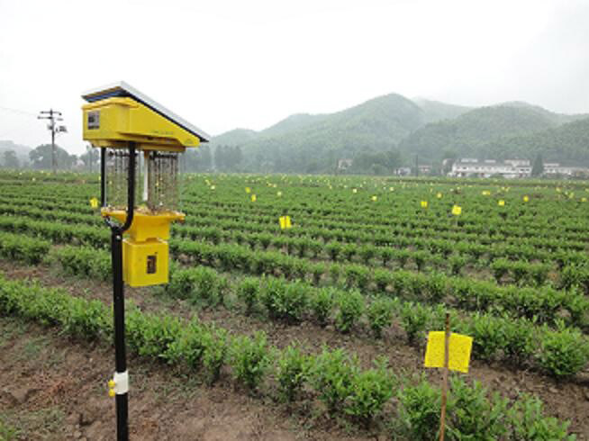 太陽(yáng)能殺蟲(chóng)燈應(yīng)用范圍是什么
