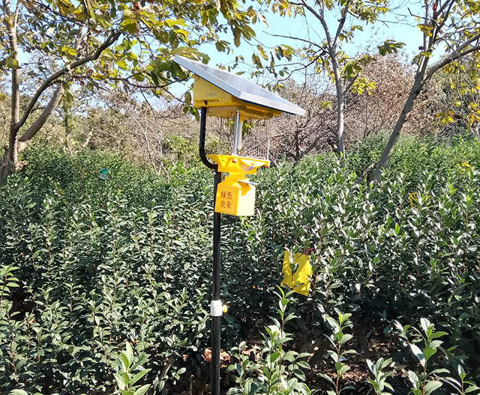 太陽(yáng)能自動(dòng)殺蟲(chóng)燈范圍是多少